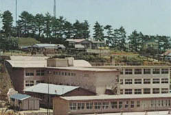 photo2_s.jpg